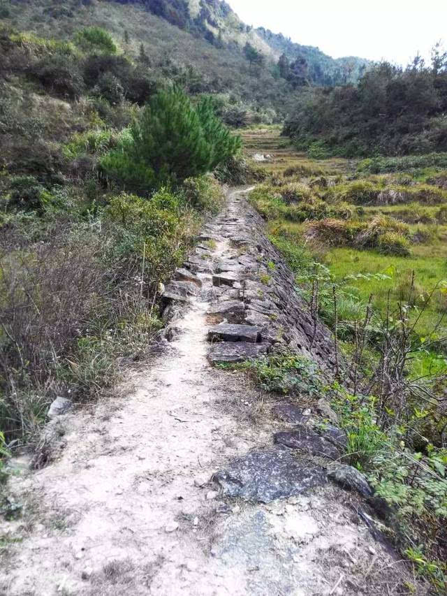 战火蔓延，草皮上的激情之战令人心动